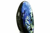 Flashy Free-Standing Polished Labradorite - Madagascar #361968-2